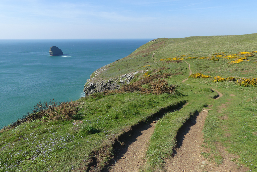 Coast path, Tintagel, on or beside the Tintagel to Port Isaac Coast Path stage