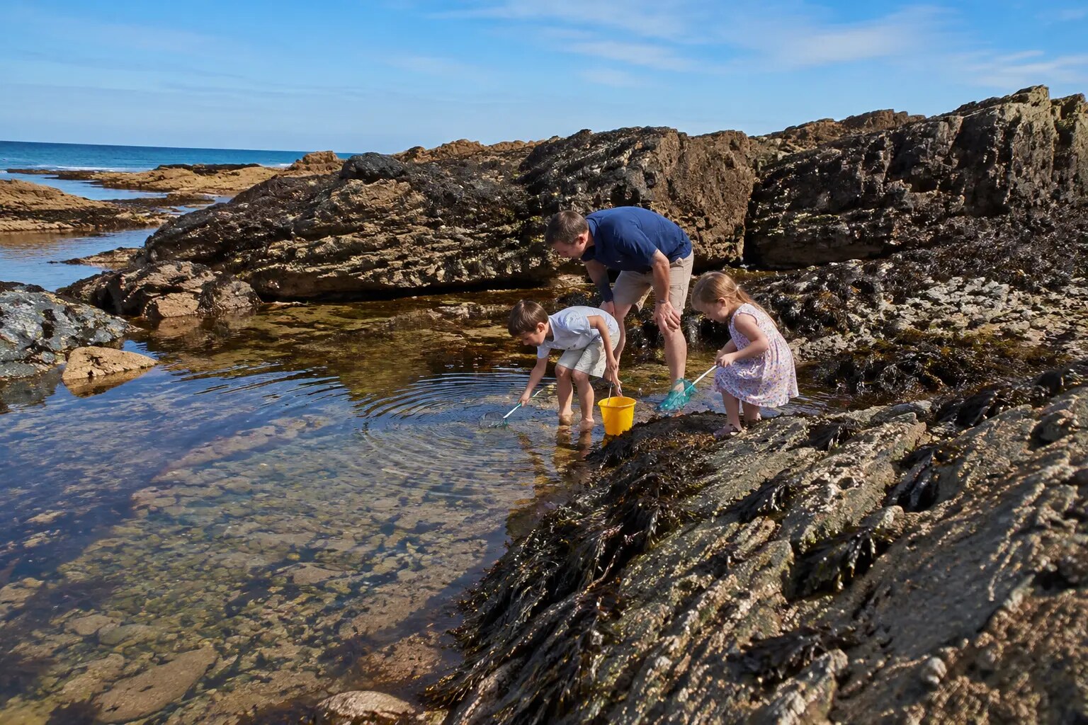 Family exploring rock pools near Bude at low tide
