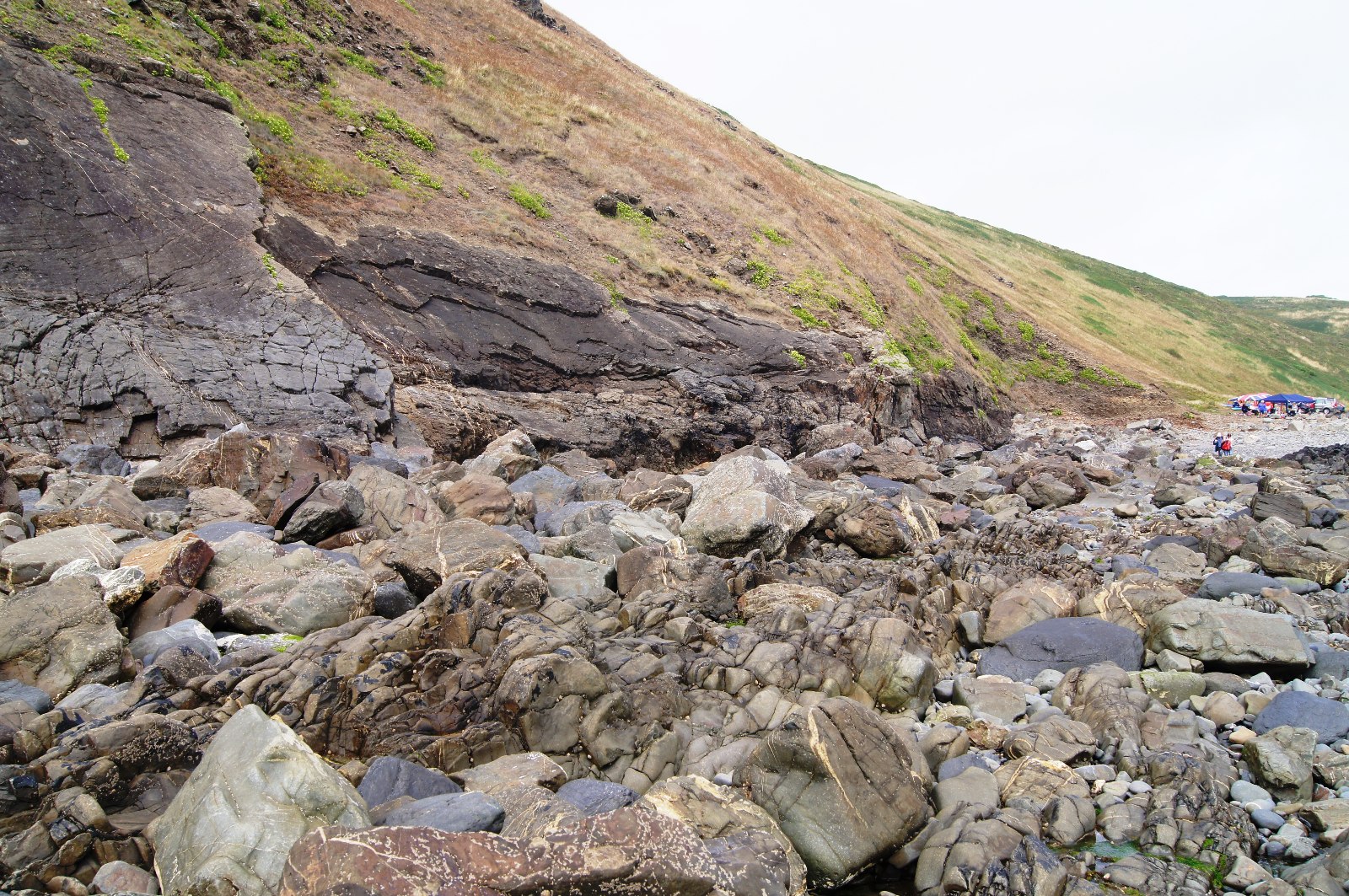 Boulders and folded rock beneath the steep green headland at Duckpool